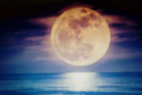 Laughing At The Moon