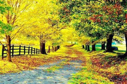 THE CHANGE OF SEASON 