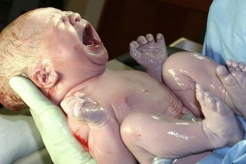 Life Began