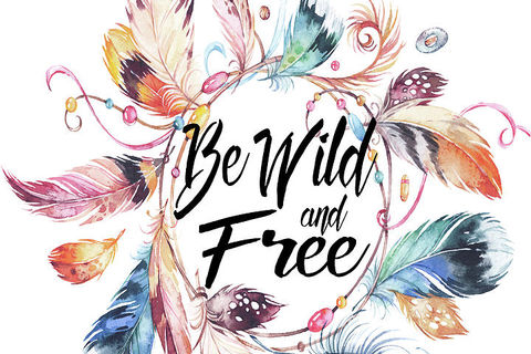 Wild and free 