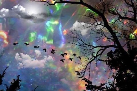 This Dream...