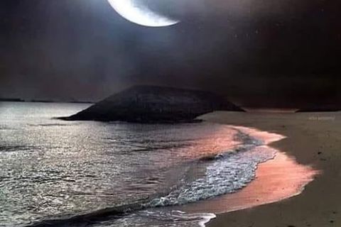 Under The Moonlight