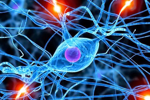 Synapse