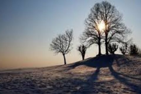 Poetic Vows II