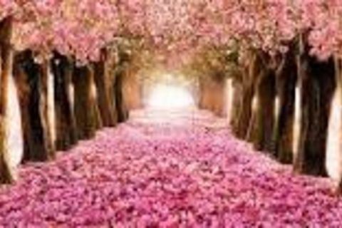 Poetic Vows IIII