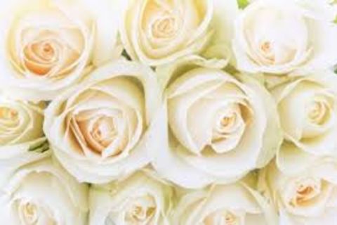 Poetic Vows X