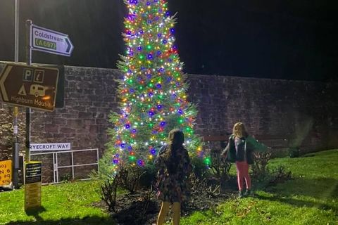 Oh lovely, local Christmas tree 🎄