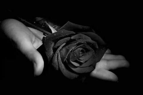 Visit Me With Black Roses... 