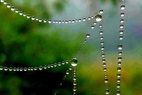 The Untanggling 