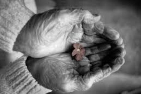 Grandma's Hands
