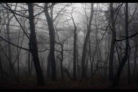 Forgiving and Forgetting