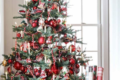 THE TREE
