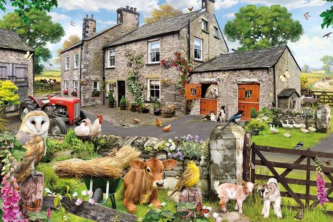 Just another farmyard🐂