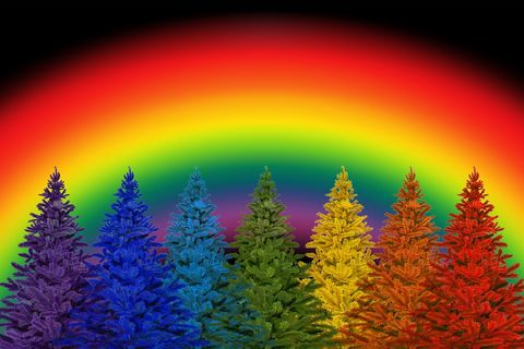 A Rainbow For Christmas