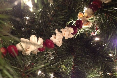 THE TREE