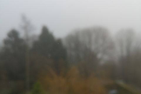 Mist 
