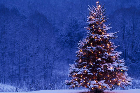 A Poem for Christmas