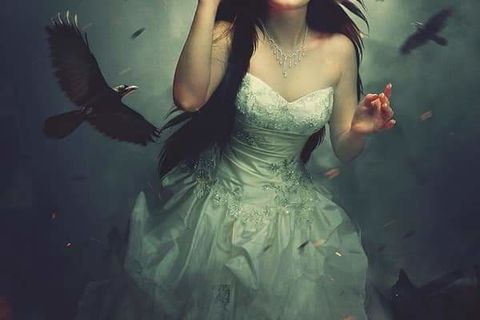 Omission wings. 