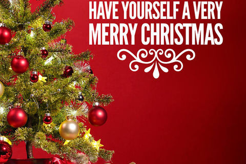 Have yourselves a very merry Christmas🎄