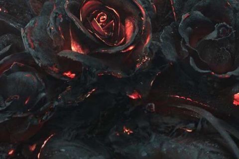  WRAITH OF MY HEART