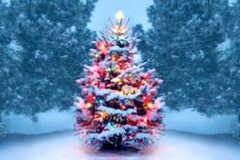 A Christmas Griever
