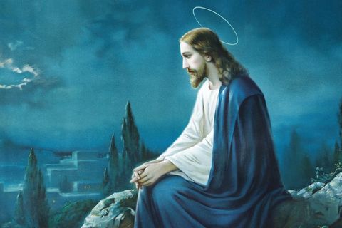 JESUS WE ADORE YOU 