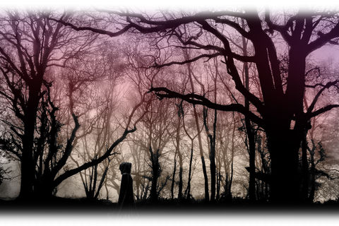 A Christmas Ghost Poem
