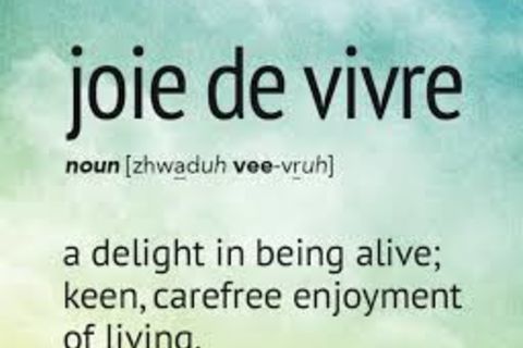 Joie de vivre cost me nothing to purchase