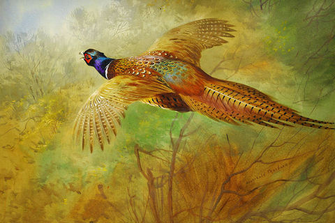 where love has acres of aching diamonds