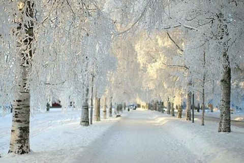 A Winter's Day