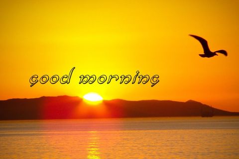 THE MORNING