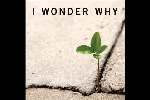 I wonder why ?