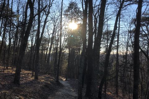 The Hike