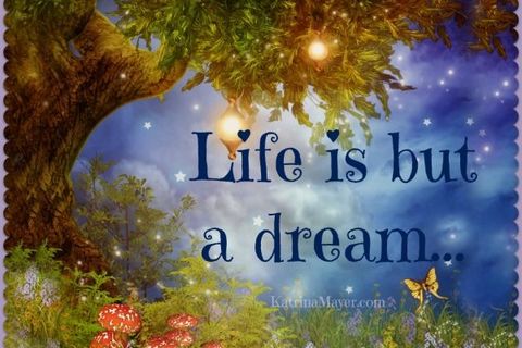 Life is but a dream 💙