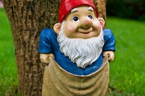 My little garden gnome 🧙