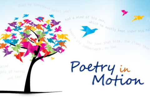 Poetry in motion 💕