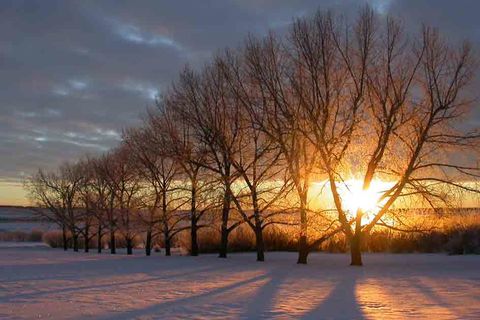MORNINGS ARRIVAL