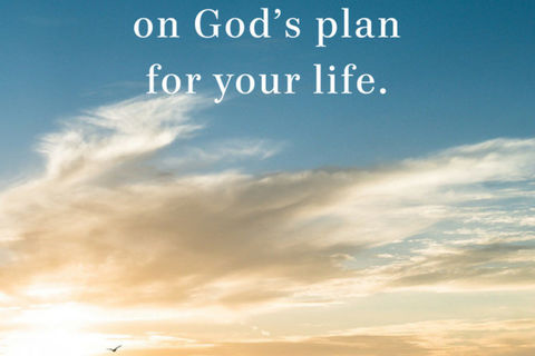 God’s plan 🙏