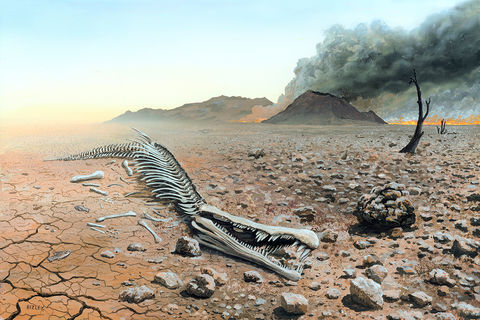 Extinction