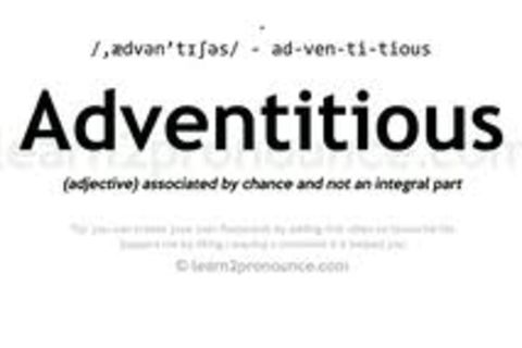 Adventitious existence birthed introverted spiritual outlier i.e. me
