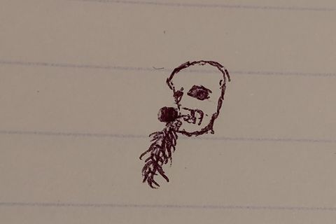 Skull Keep