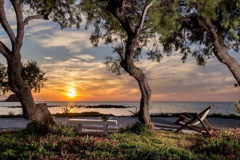 Sipping ouzo at sunset