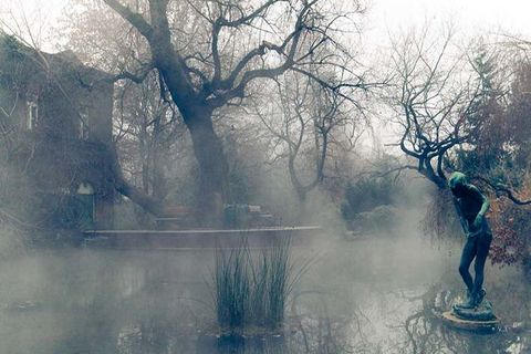 Ethereal Nature 