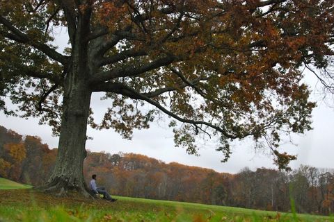 THE POET ON THE HILL