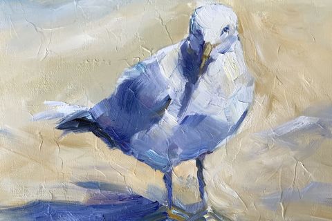 SEAGULL
