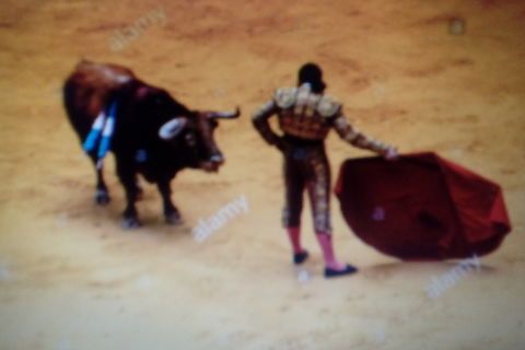 The Rain In Spain Falls Mainly On The Bullring