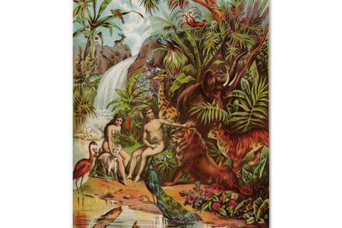 "Evolution or creation"