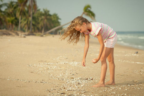 SEASHELLS BY THE SEASHORE