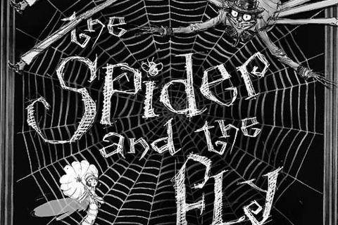 The Spider And The Fly