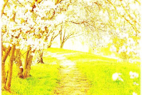 DIFFERENT SPRING